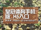 种植基地七