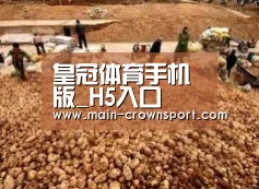 种植基地二