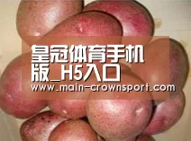 产品展示标题1