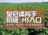 种植基地五(图1)