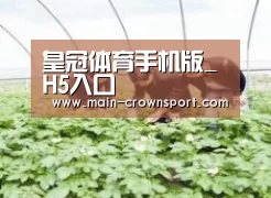 种植基地三