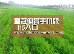 种植基地四