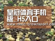 种植基地八(图1)