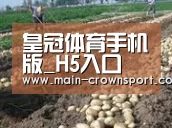 种植基地八