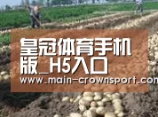 种植基地七(图1)