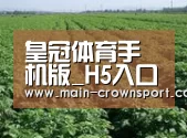 种植基地五