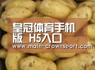 产品展示标题6