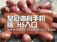 产品展示标题5