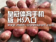 产品展示标题5(图1)