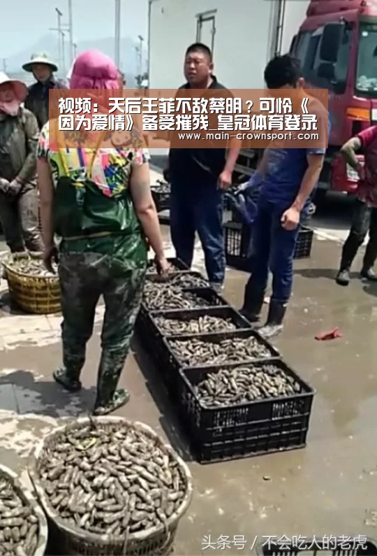 皇冠体育直播
