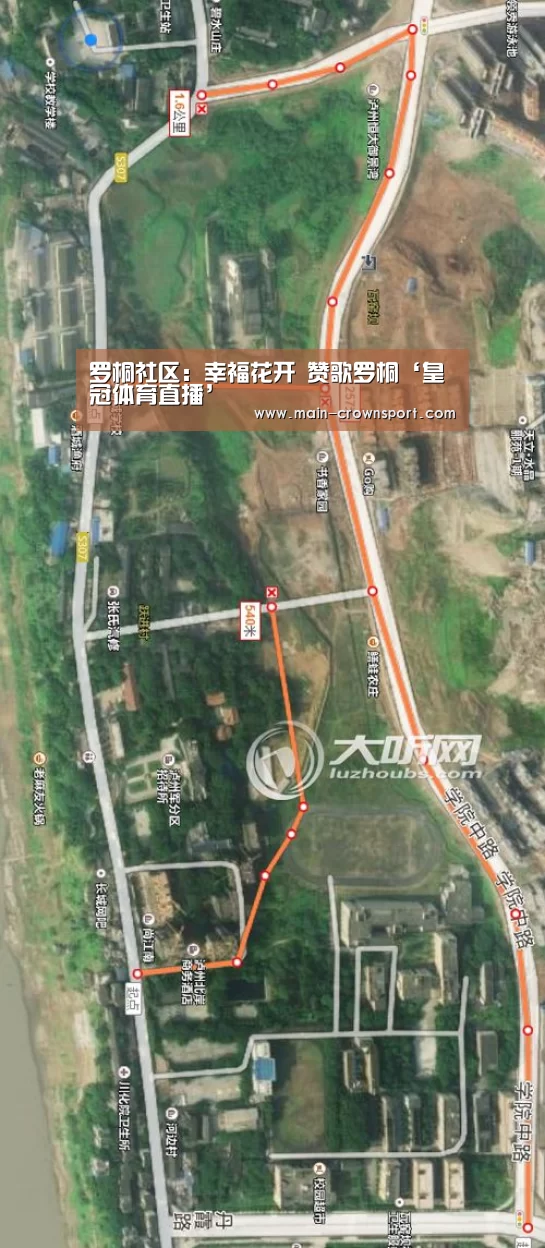 皇冠体育直播