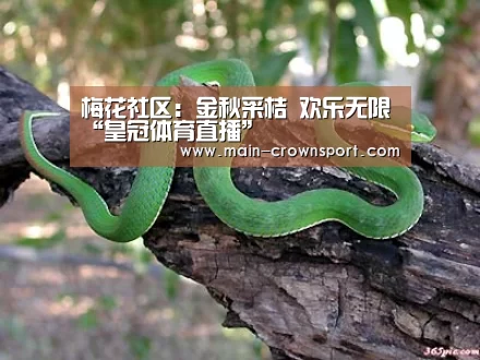 皇冠体育登录