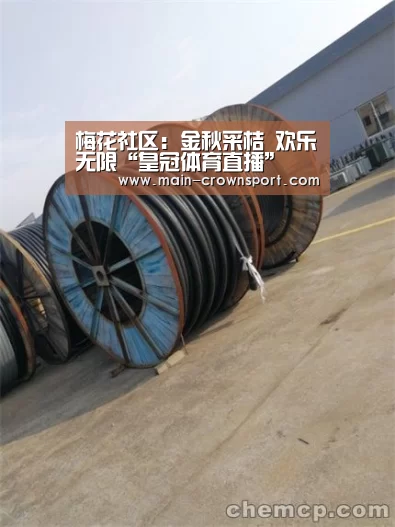 皇冠体育直播