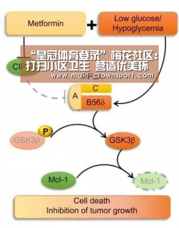 “皇冠体育登录”梅花社区:打扫小区卫生 营造优美环境(图2) 皇冠体育登录