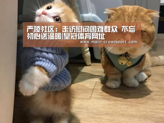 皇冠体育直播